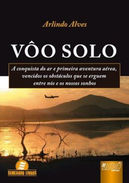 Picture of VOO SOLO - A CONQUISTA DO AR E PRIMEIRA AVENTURA AEREA